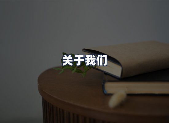 关于我们